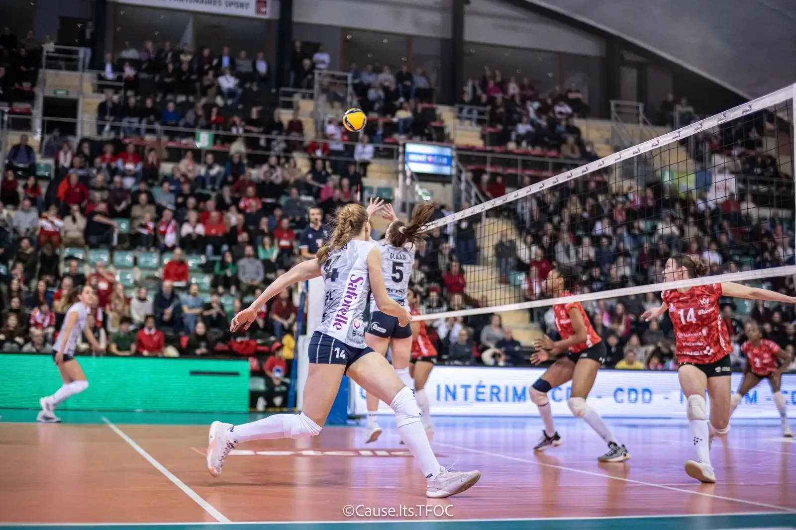 tatiana-kulikova-middle-blocker-mulhouse-tfoc-france-2024-2025