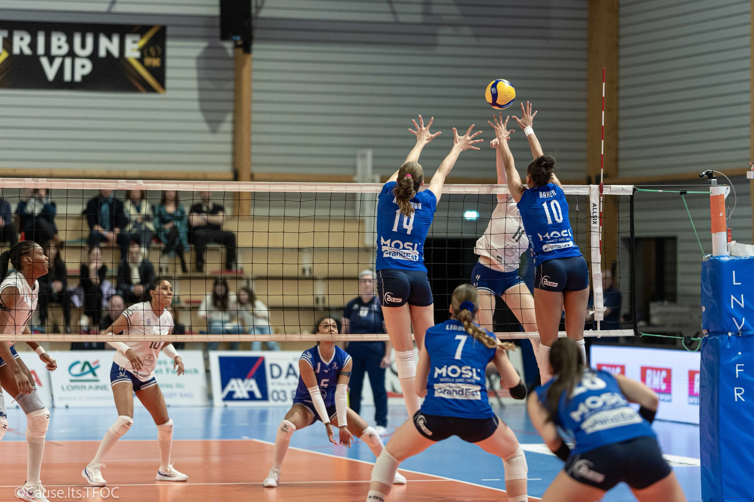 Tatiana Kulikova 2023 2024 Season Tfoc Marcq En Baroeul 6